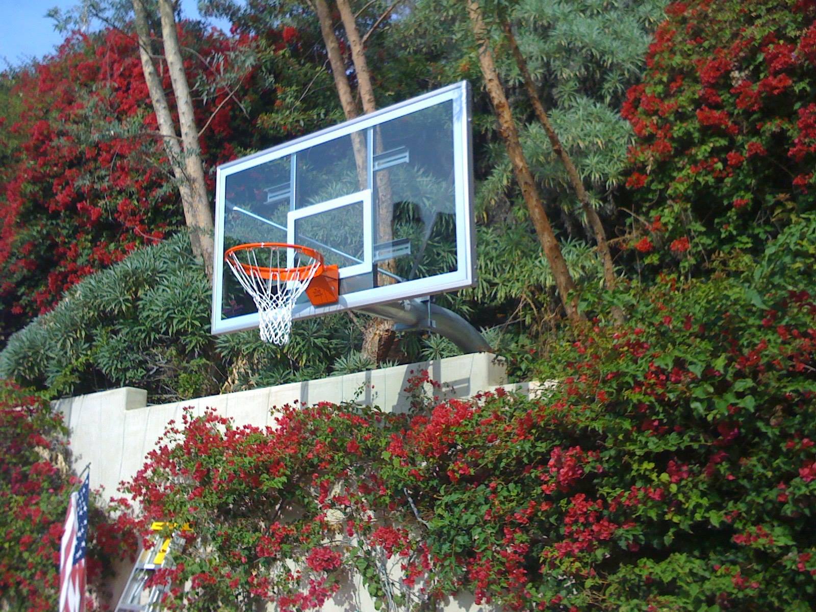 Basketball goal installed in a landscaped backyard